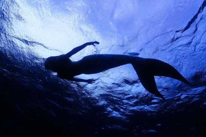 画像：水中の人魚のシルエット